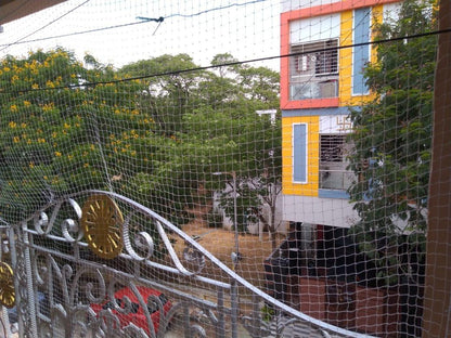 Eco-Friendly Bird Netting – Safe Solution to Keep Birds Away 10FEETx20FT (200 Sqft)