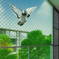 Eco-Friendly Bird Netting – Safe Solution to Keep Birds Away 10FEETx20FT (200 Sqft)